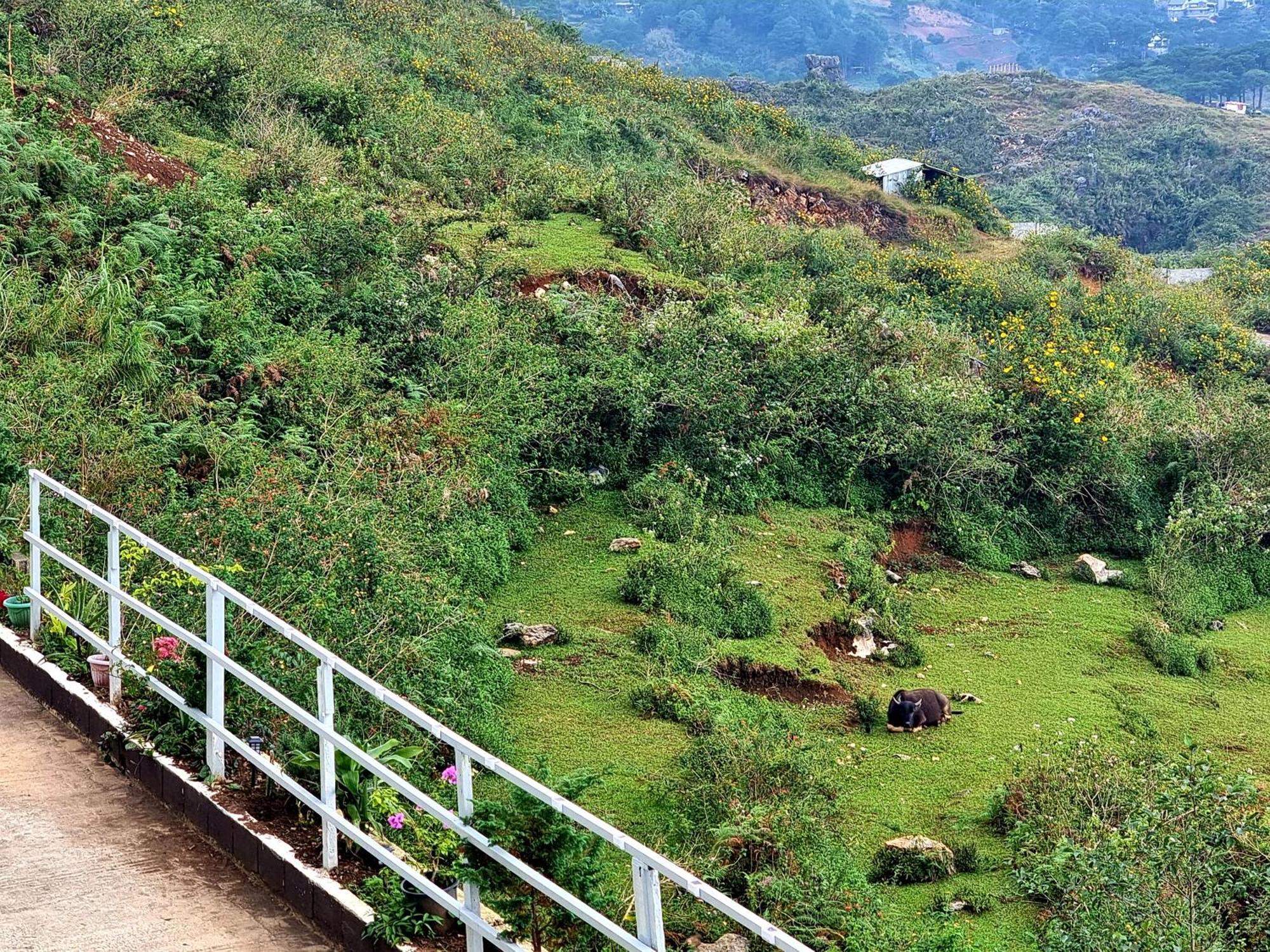 Wanay'S Rocky Mountain Homestay Baguio City Ngoại thất bức ảnh